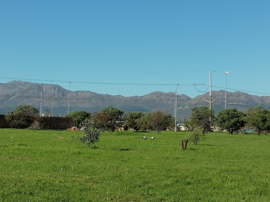 Commercial Property for Sale in Guldenland Western Cape